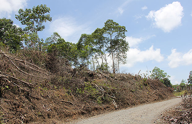asesinatos tumacos 2