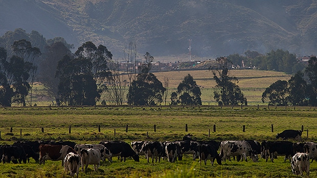 balance-tierras-2014-4