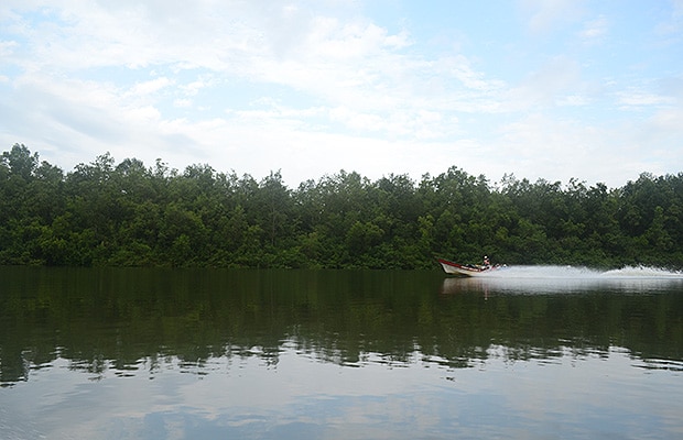 barbacoas-entrega1-1