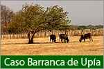 Una familia quedó atrapada en medio de la guerra entre paramilitares llaneros de un bando y otro, pues su finca estaba en le medio, en Barranca de Upía.</p>
<p>Les robaron un hijo y les quitaron su finca.</p>
<p>Un notario fue cómplice del despojo.