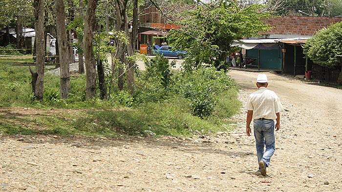 Restitución de tierras en Bella Palmira