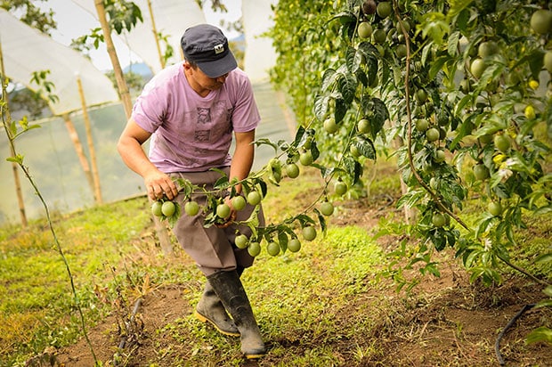 Campesino Parques Nacionales