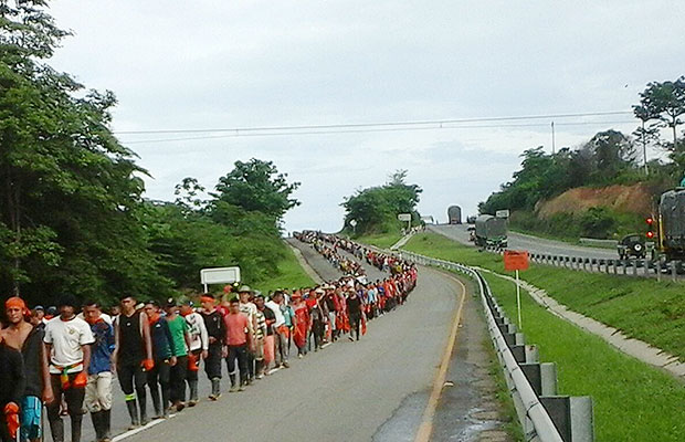 campesinos catatumbo 2