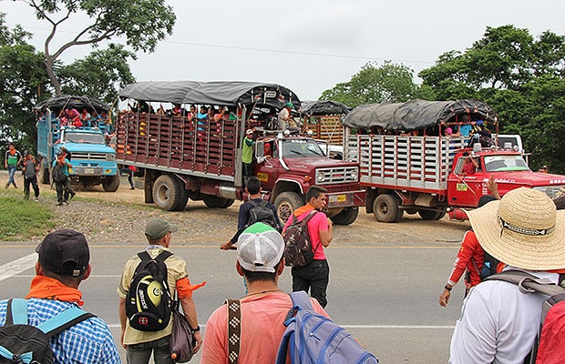 campesinos catatumbo 3