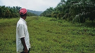 El tortuoso camino de la restitución de tierras