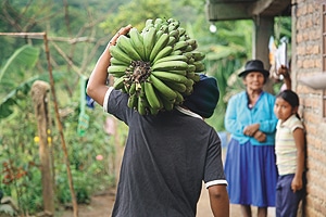 campscauca-discriminacion