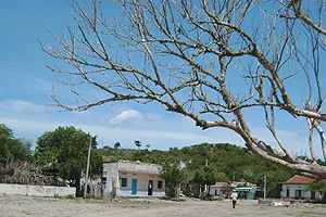 caso-emperatriz-300x200-1