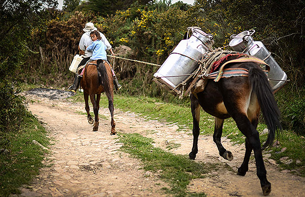 caso tierras drummond 2