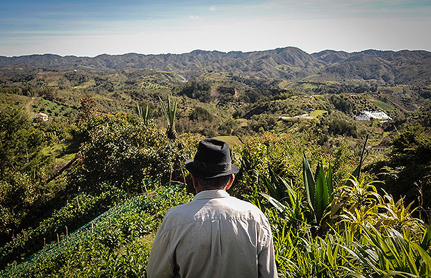 caso tierras drummond 4