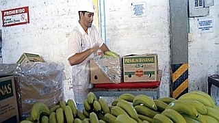 Chiquita brands