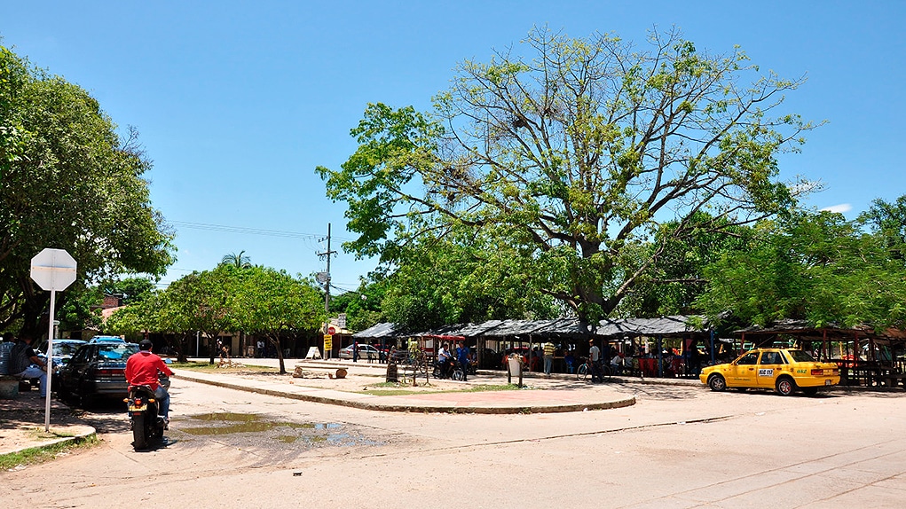 Despojo en Pacho Prieto