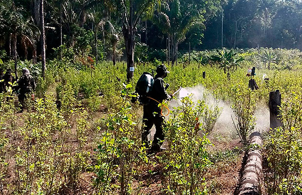 cocaleros guaviare 1