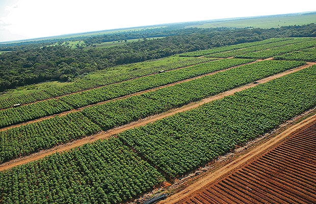 contraloria baldios 1