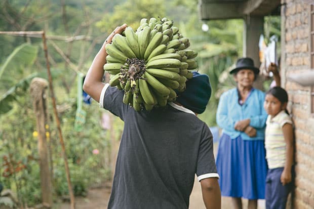 Indígenas en el Cauca