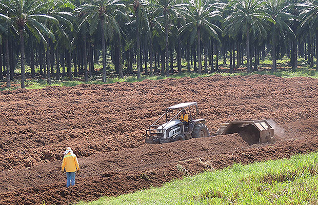 decrero ley agrario 1