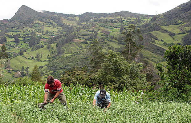 decrero ley agrario 3