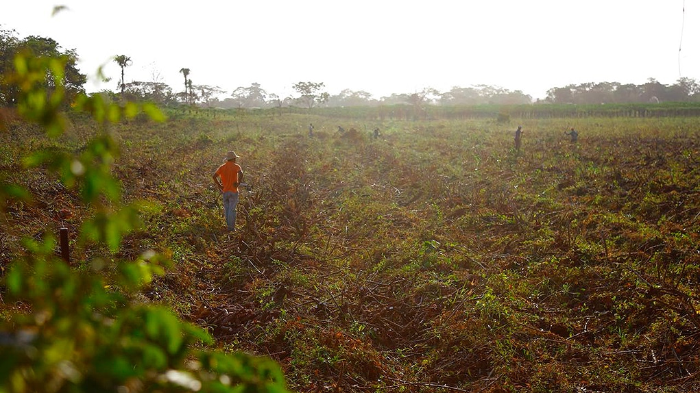 Decreto tierras para excombatientes de las Farc