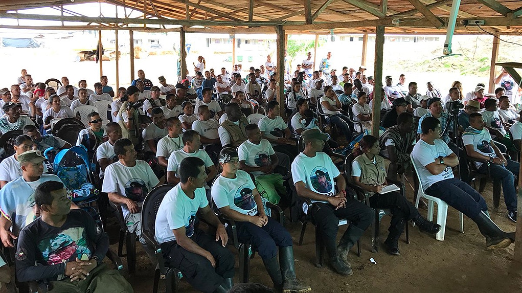 Decreto tierras para excombatientes de las Farc