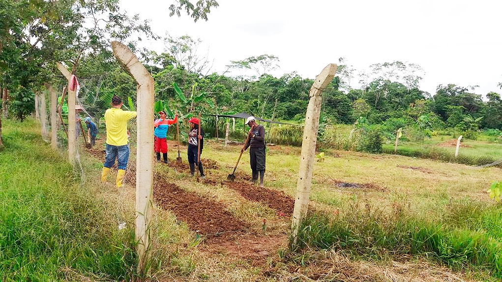 Decreto tierras para excombatientes de las Farc