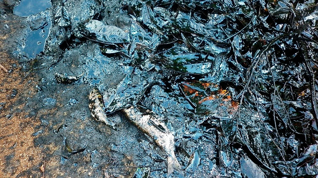 Demanda de indígenas Awá a Ecopetrol