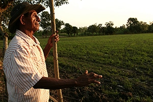 demandas-etnicas-300x200