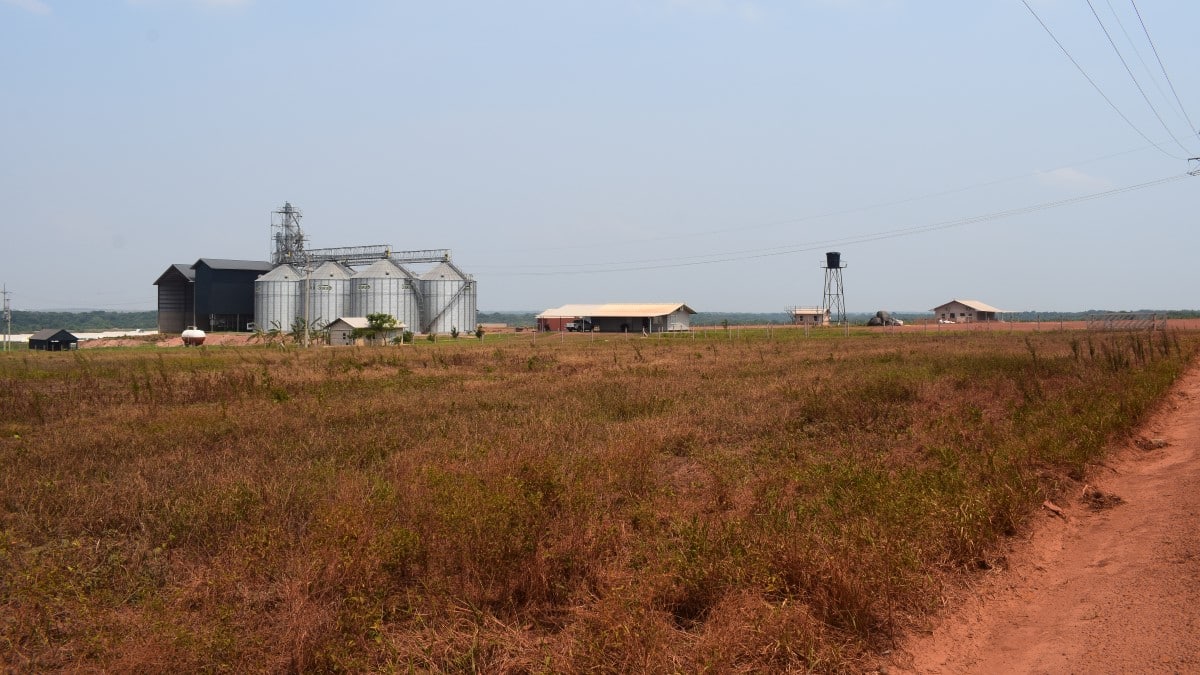 Lote adquirido por una familia menonita en Puerto Gaitán, Meta.</p><figcaption id=