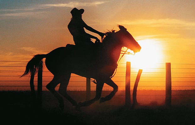 desaparecidos llanos 2