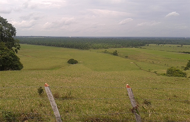desde-tierras-casanare-empresa