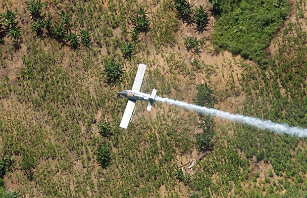 La realidad de los cultivos de hoja de coca en Norte de Santander