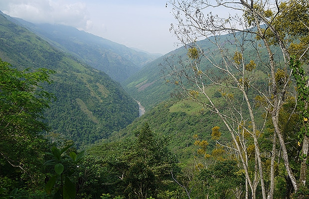 desminado-bricenio-1