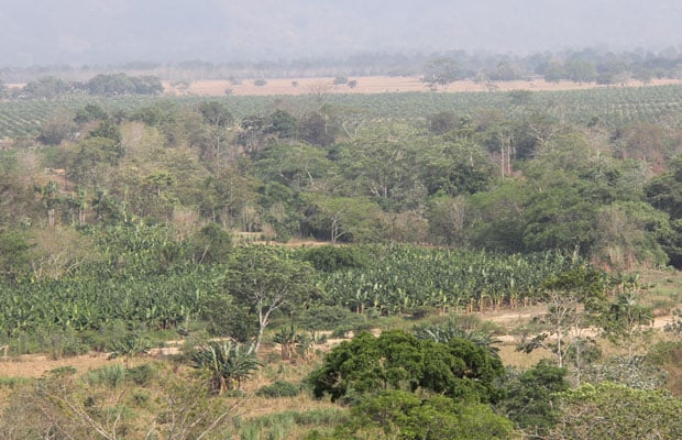 0-desmovilzados-tierralta-2n