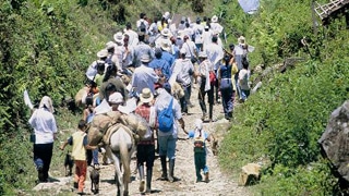 Desplazamiento y despojo de Tierras: estrategia paramilitar