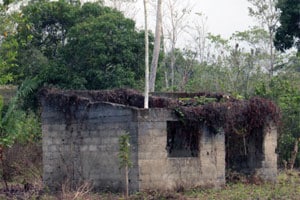 despojo memoria historica