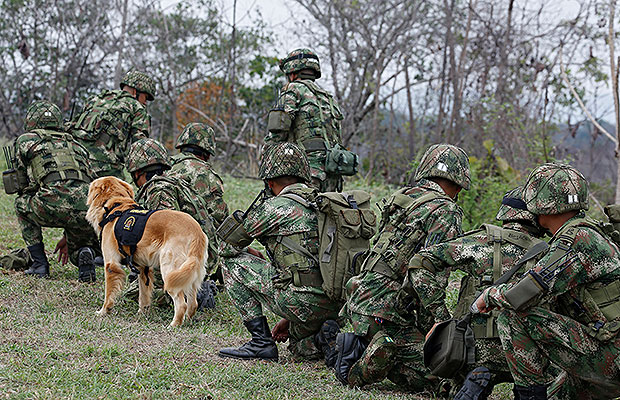 destruccion pruebas fp 2