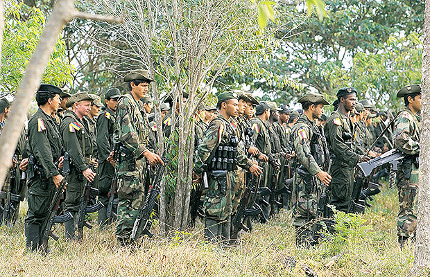 disidencias farc 4