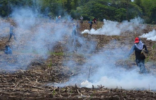 Muere joven indígena durante reclamación de tierras en Cauca