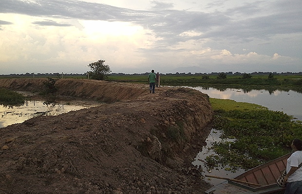 Temor en las ciénagas de Terraplén