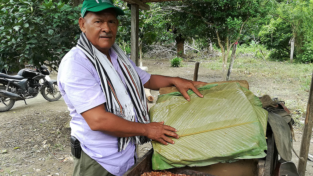 Resistencia y cacao en El Garzal