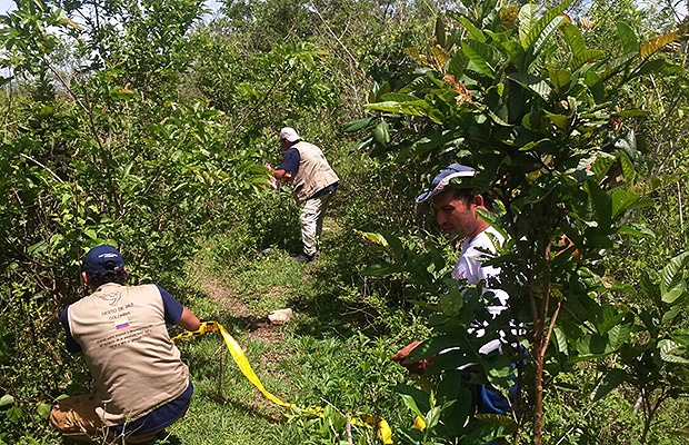 el-orejon-trabajando-juntos