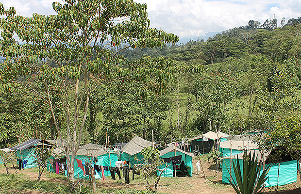 entrevista carlos lozada 3