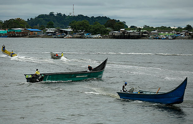 entrevista el pollo 1
