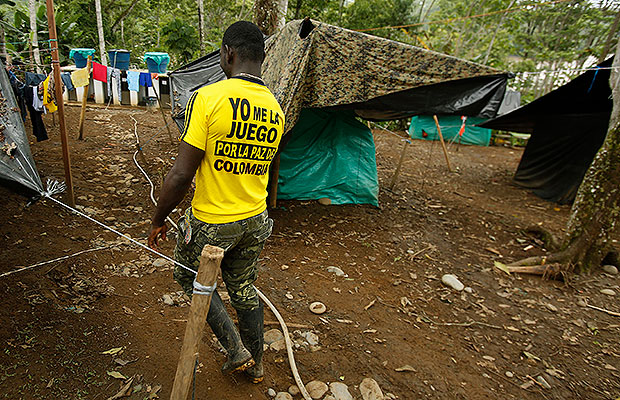 entrevista el pollo 5