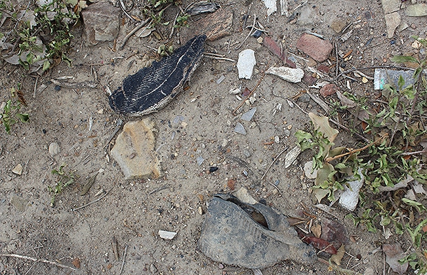 entrevista javier osuna 2