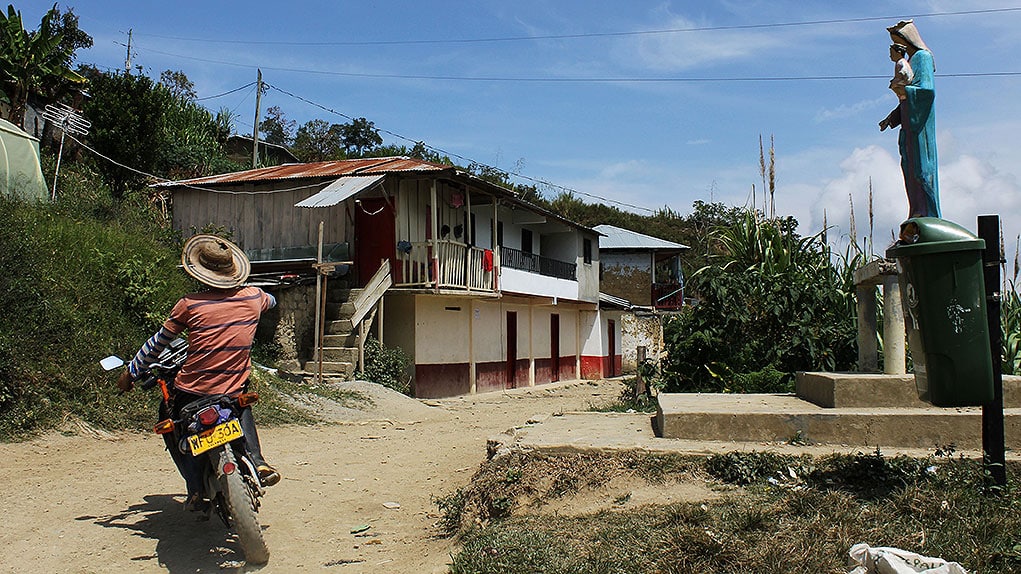 Sustituciòn de cultivos de coca en Birceño, Antioquia.