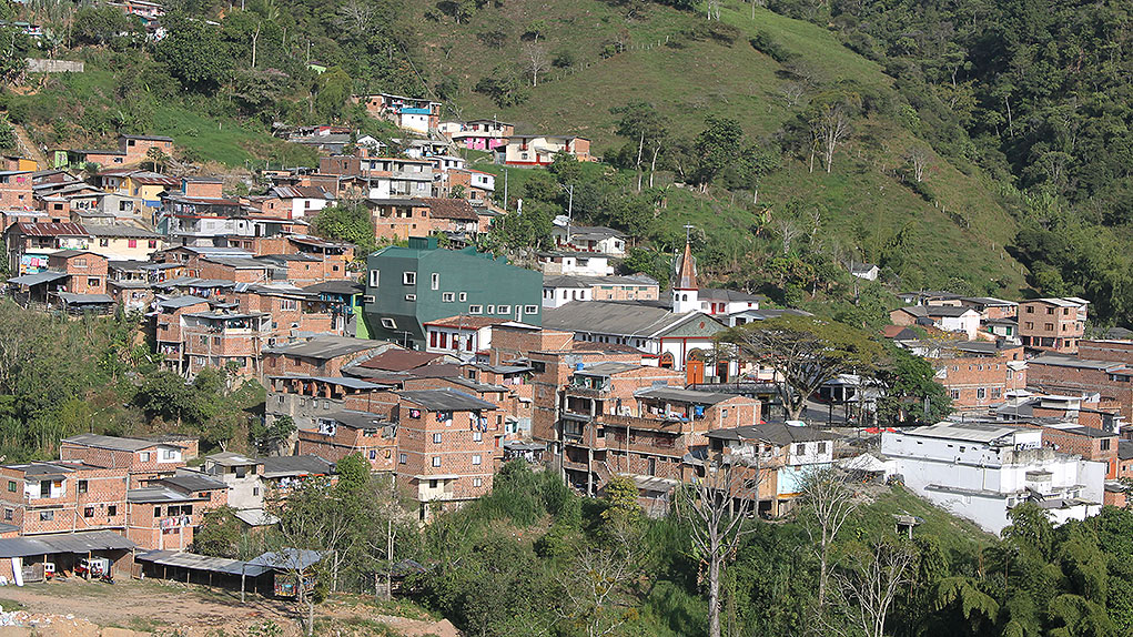 Sustituciòn de cultivos de coca en Birceño, Antioquia.
