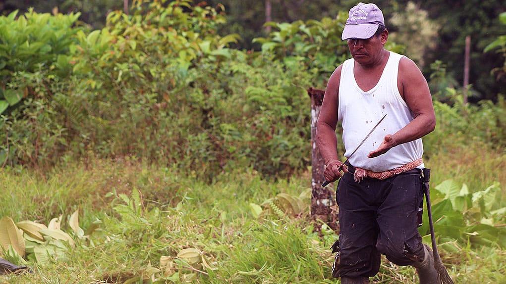 Falso positivo judicial comunidad Awá
