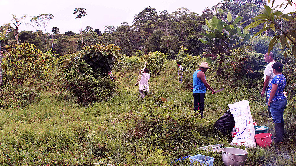 Falso positivo judicial comunidad Awá