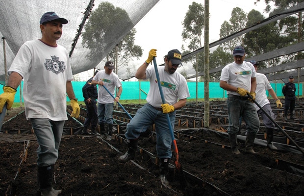 Libertad desmovilizados AUC