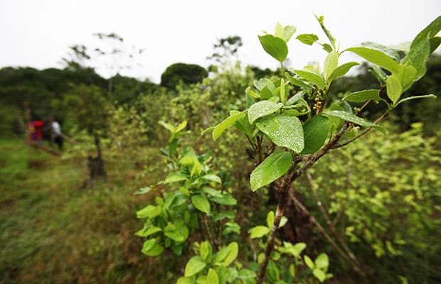 procurador-uribe-mindefensa