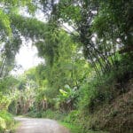 Guardia Campesina y Popular de Antomoreno, Sotará